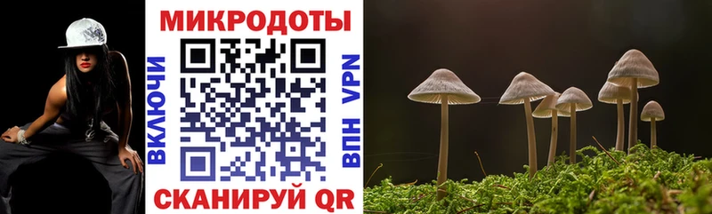 Галлюциногенные грибы Psilocybine cubensis Энем